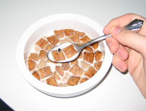 Bug in cereal