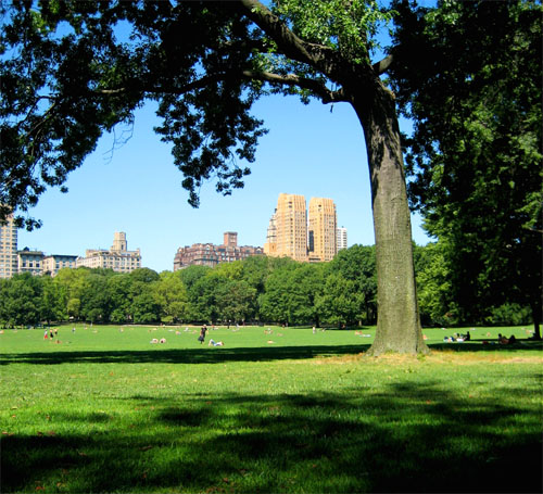 Central Park View