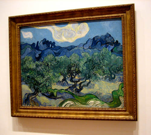 Vincent Van Gogh - Olive Tree