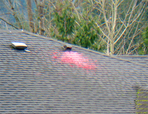 Roof dryer vent spewing weird looking red stuff