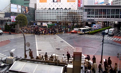 Shibuya Crossing 1